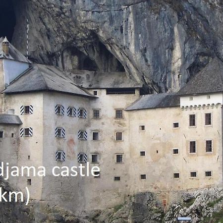 Tiny House With A Big Heart Βίλα Postojna Εξωτερικό φωτογραφία
